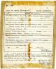 TIBBITS_Charles_Austin_1915_LK6Y-925_Birth_Certificate