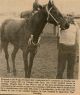 TARRANT_Leonard_James_1923_LTFJ-TYP_Equestrian_ORCA
